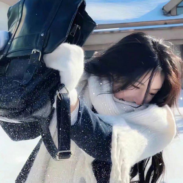 胡桃夹子和魔笛公主